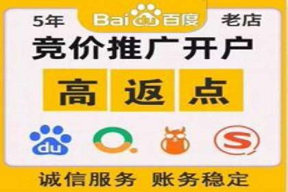 搜索引擎营销（SEM）公司某某的客户成功故事